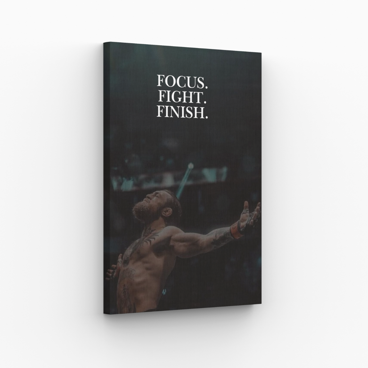 Focus. Fight. Finish. Obraz