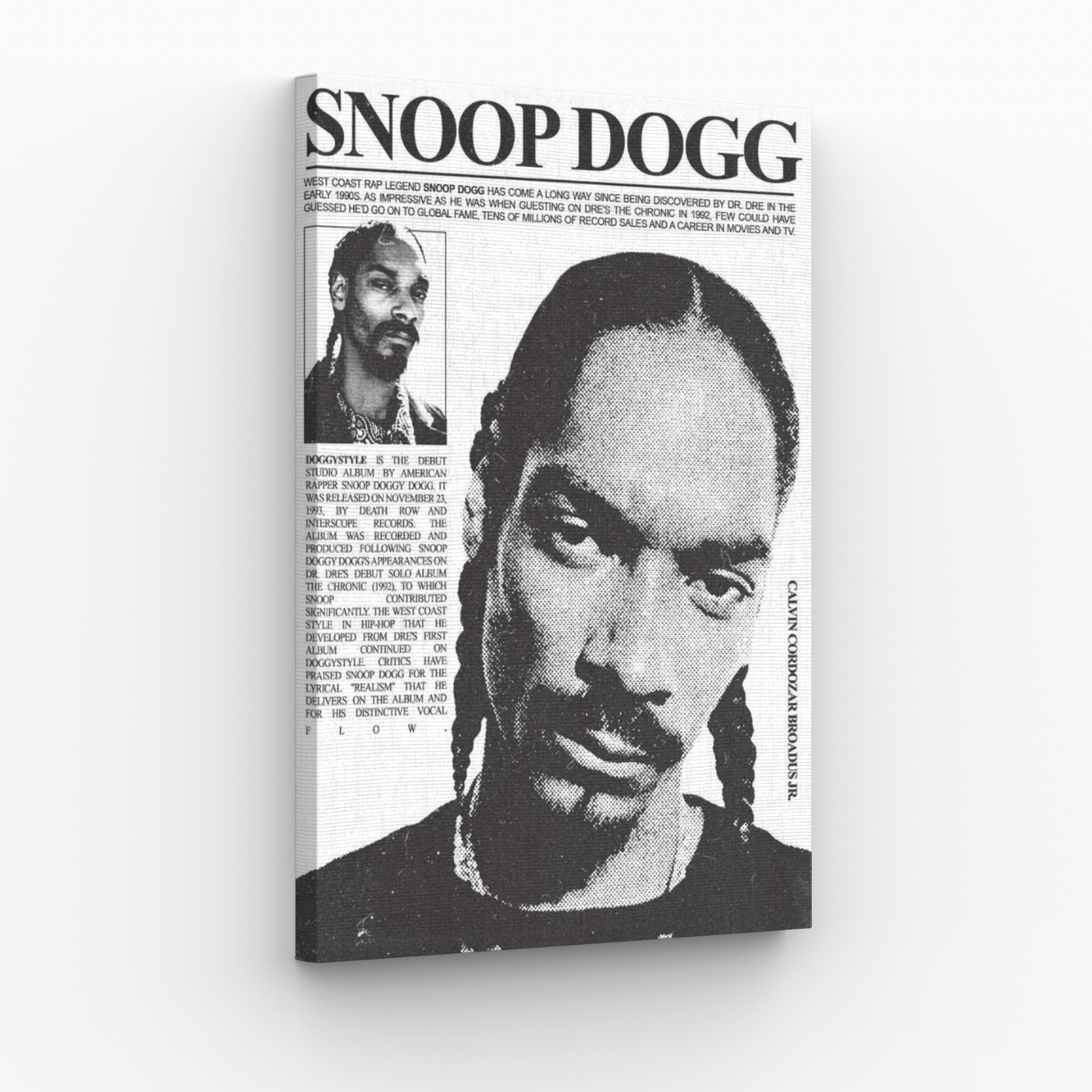 Snoop Dogg Obraz