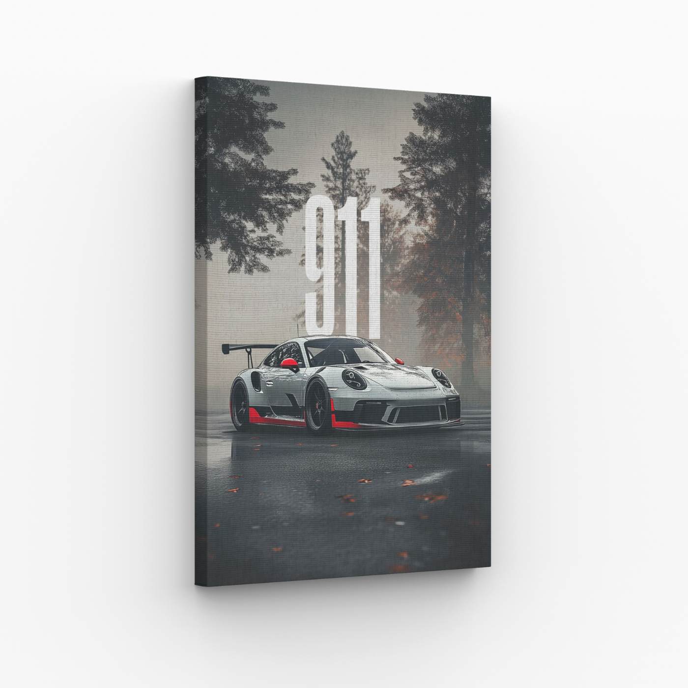 Porsche 911 z Krajobrazem Obraz