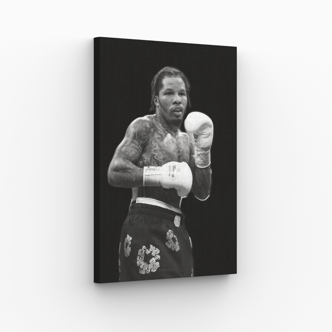 Gervonta Davis Obraz