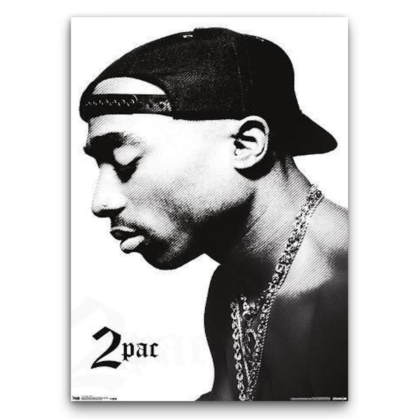 2Pac Obraz
