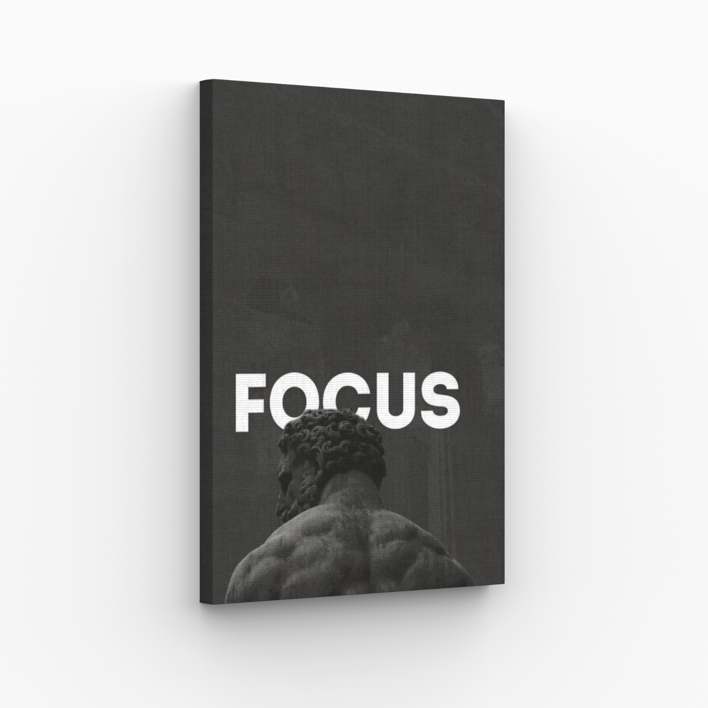 Focus Obraz