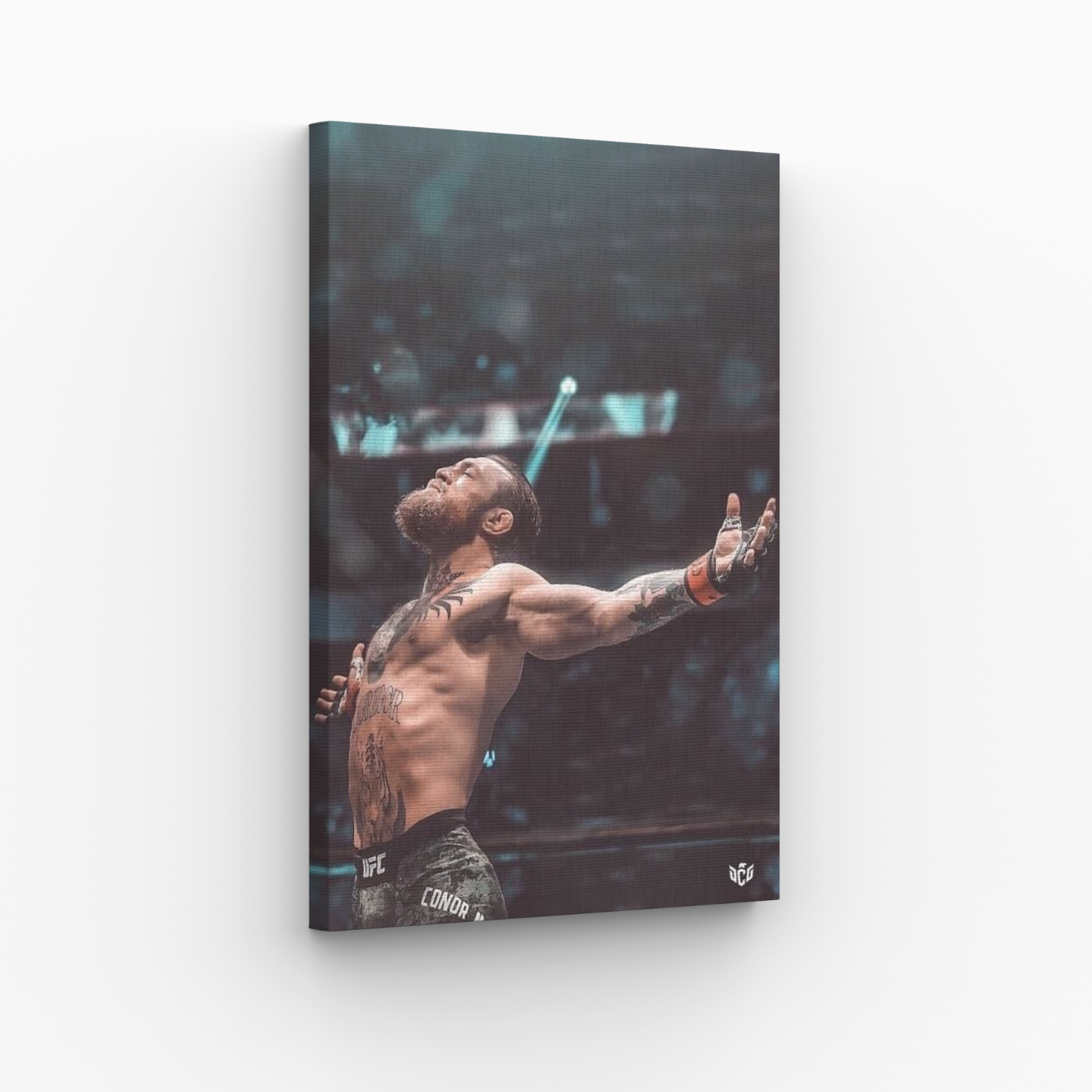 Conor McGregor 2 Obraz