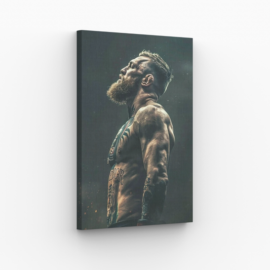 Conor McGregor Obraz