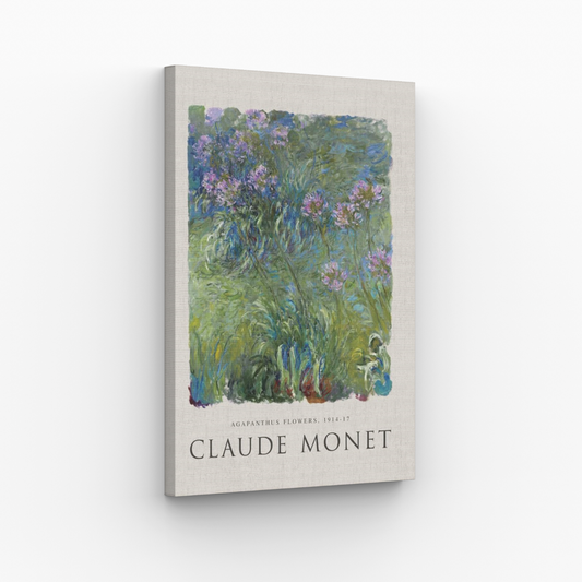 Claude Monet - Agapanthus Flowers Obraz
