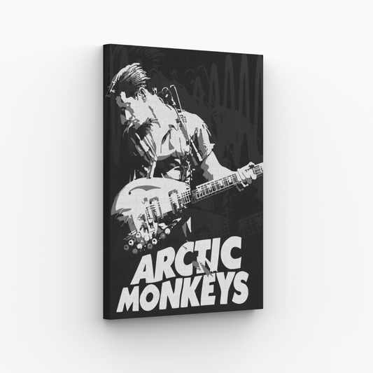 Artic Monkey Obraz