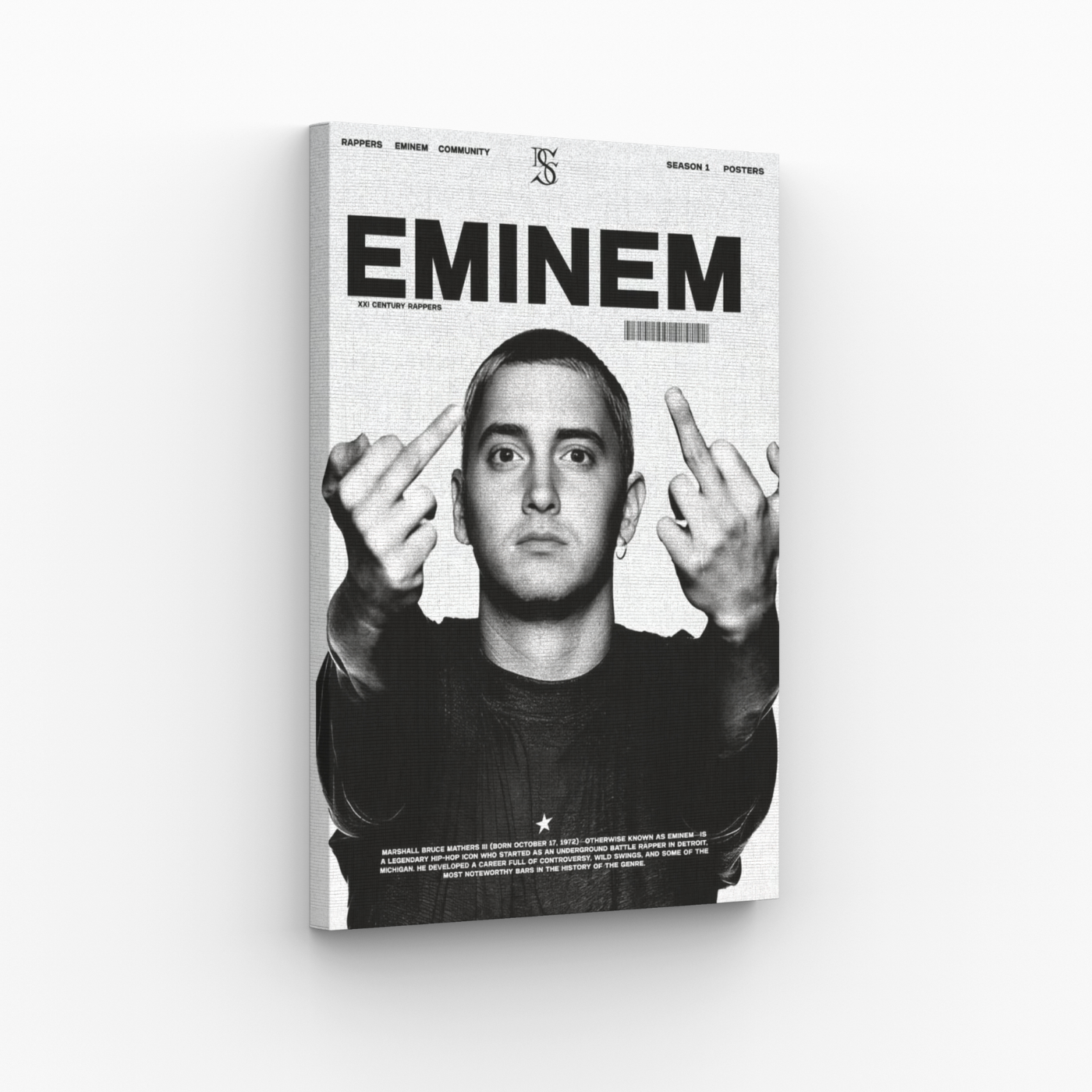 Eminem Obraz