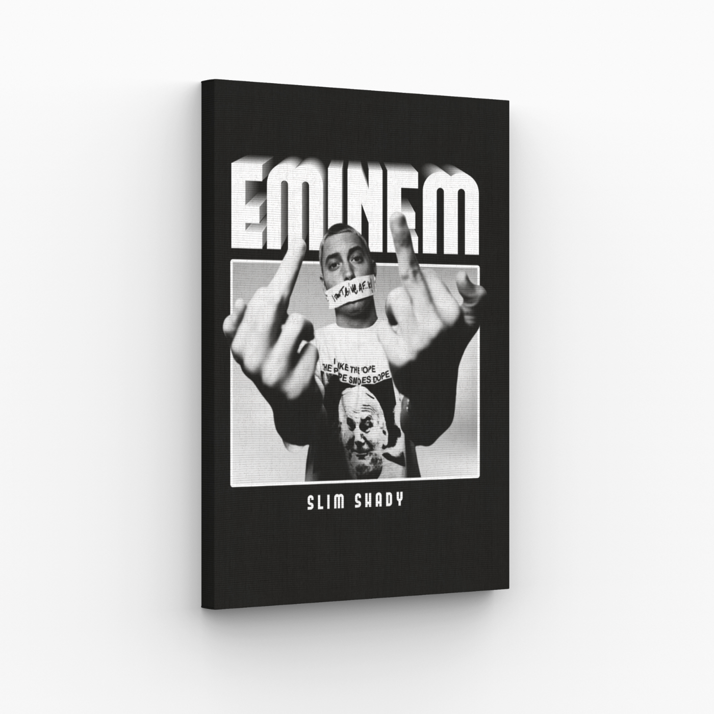 Eminem Slim Shady Obraz