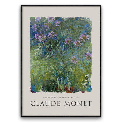 Claude Monet - Agapanthus Flowers Obraz