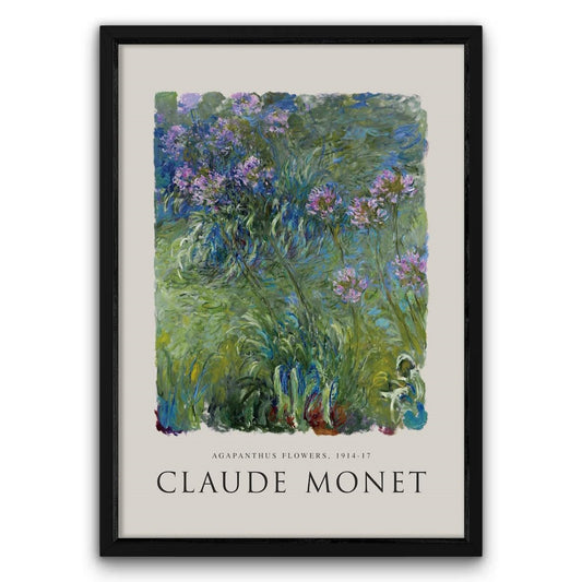 Claude Monet - Agapanthus Flowers Plakat