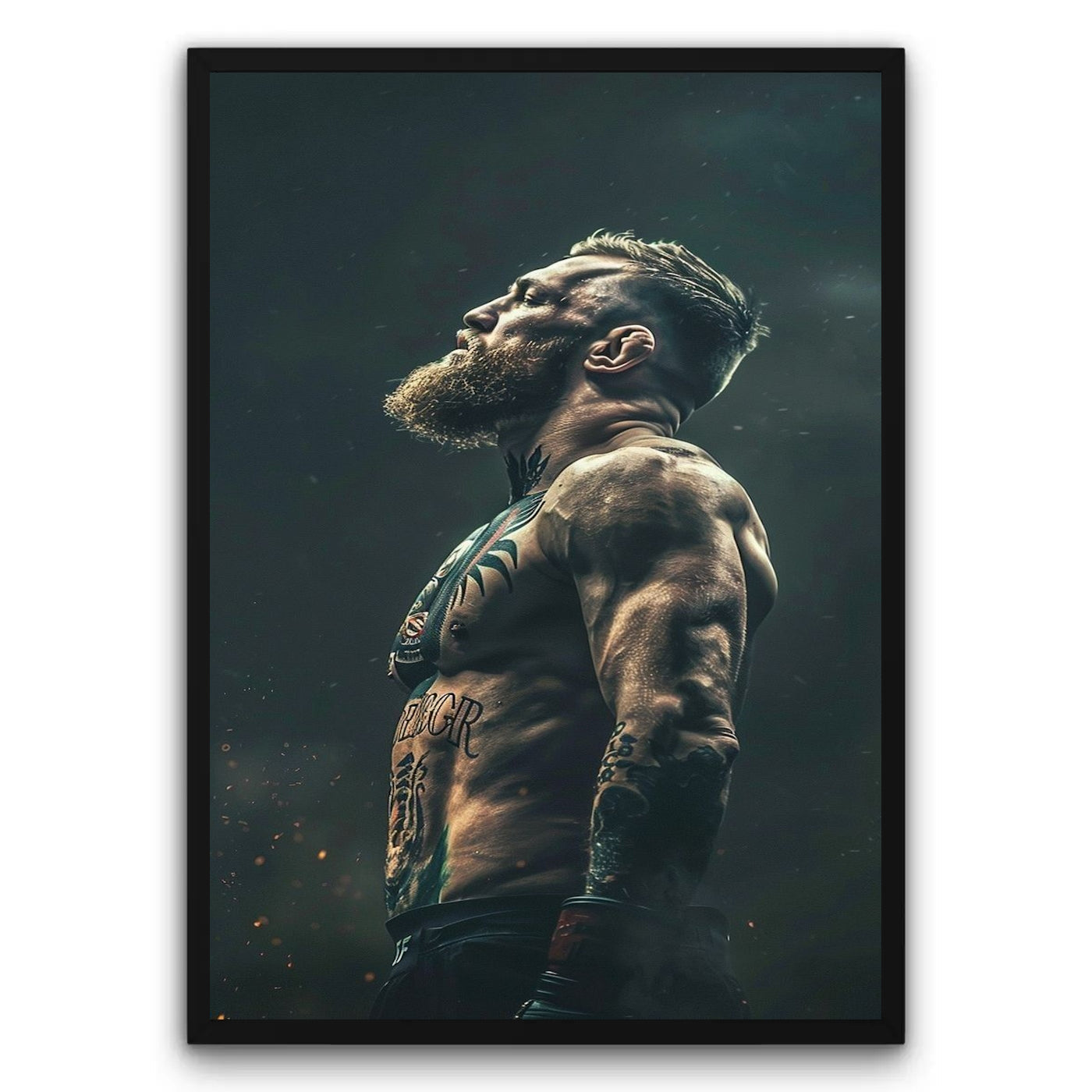 Conor McGregor Plakat