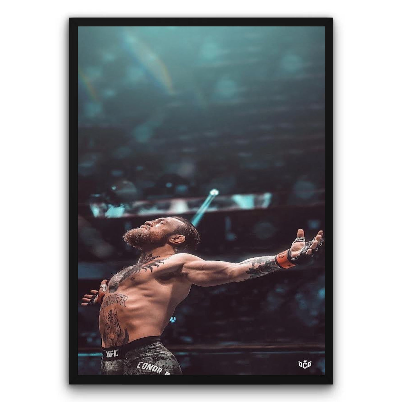 Conor McGregor 2 Plakat